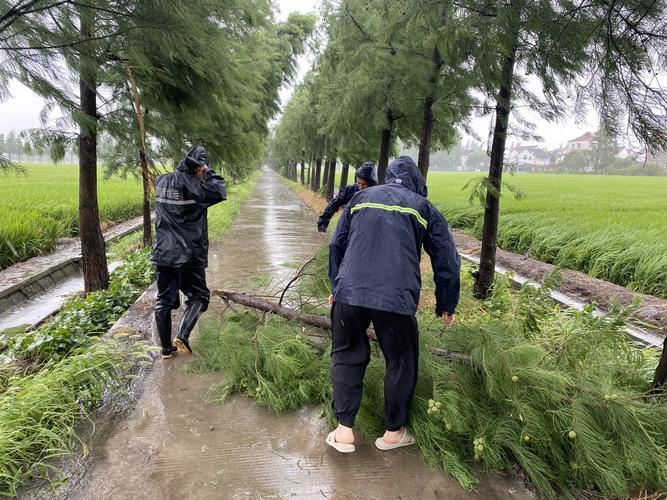 台风逼近城管系统排查隐患,设计策略快速解答_VR型43.237