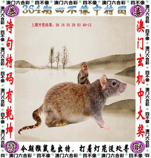 2024年12月 第31页