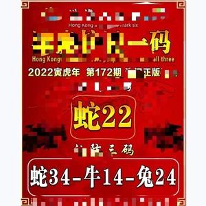 澳门必中一一肖一码怎么样,设计策略快速解答_整版DKJ656.74