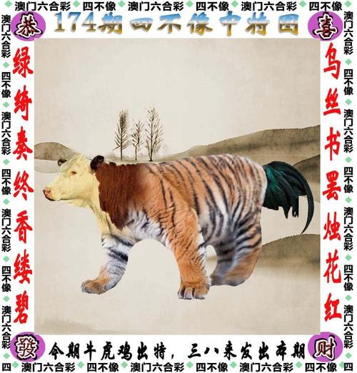 4949澳门免费资料大全高手优势,绝对策略计划研究_社交版40.12.0