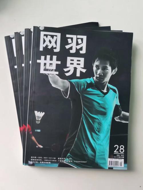 国家体育类期刊排名,设计策略快速解答_VR型43.237