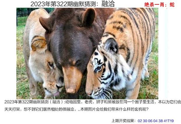 澳门正版精准免费资料网,真实经典策略设计_VR型43.237