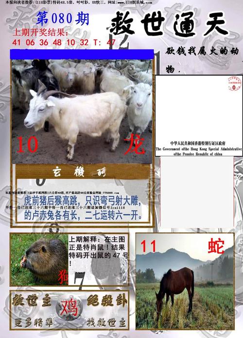 118开奖网站 澳门,真实经典策略设计_VR型43.237