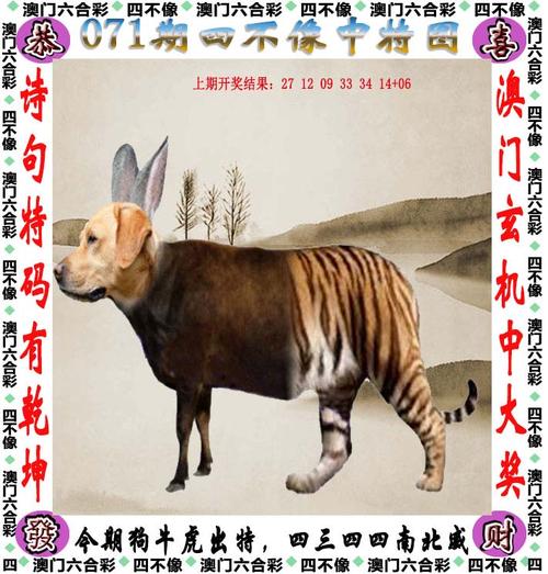 精准平特一肖免费公开,设计策略快速解答_整版DKJ656.74