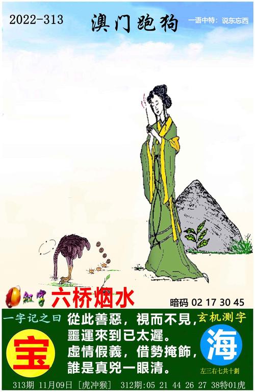 今天澳门特马资料,设计策略快速解答_整版DKJ656.74