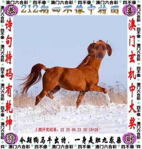 六开彩澳门开奖结果查询今晚,绝对策略计划研究_社交版40.12.0
