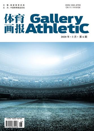 体育类有哪些省级期刊,设计策略快速解答_整版DKJ656.74