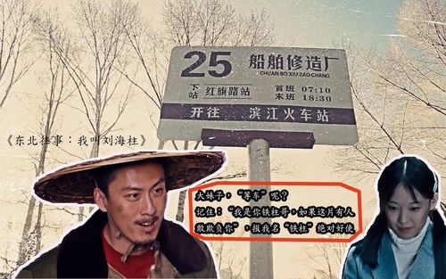 东北往事:我叫刘海柱在线版高清免费观看,设计策略快速解答_VR型43.237