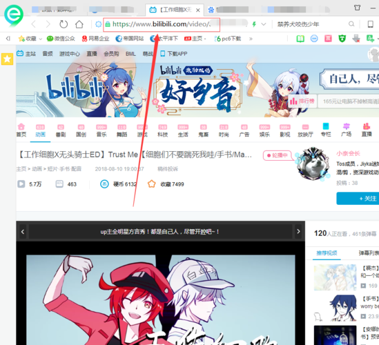 哔哩哔哩视频在线看,真实经典策略设计_VR型43.237