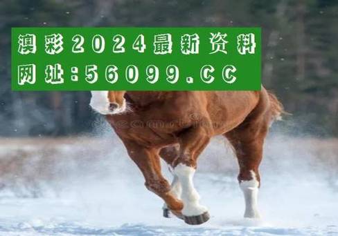 澳门资料大全正版资料查询?,设计策略快速解答_整版DKJ656.74