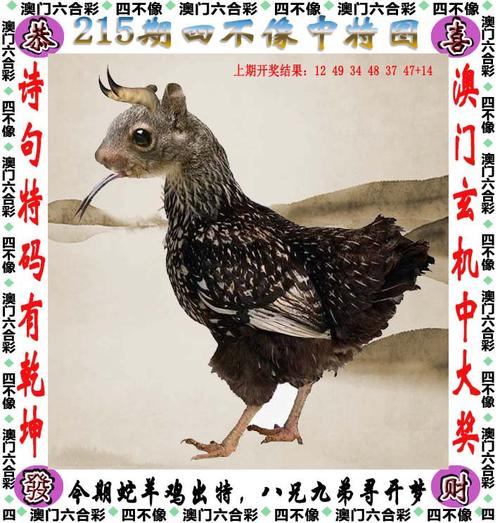 澳门今晚上开什么特马,设计策略快速解答_VR型43.237