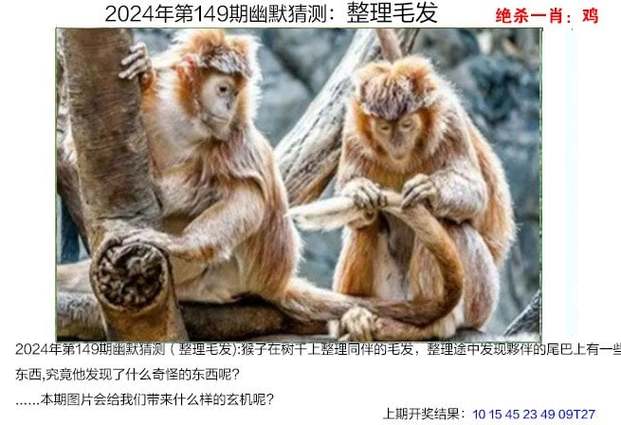 澳门六合资料大会平特一肖一尾,真实经典策略设计_VR型43.237