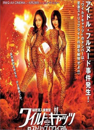 6080电影网在线,设计策略快速解答_整版DKJ656.74