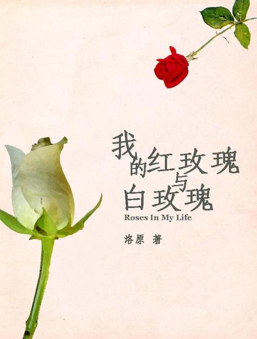 红玫瑰白玫瑰歌曲,绝对策略计划研究_社交版40.12.0