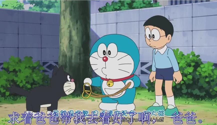 动漫在线看免费,设计策略快速解答_VR型43.237