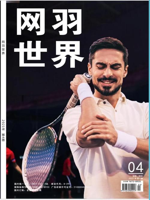 全体育是什么级别期刊,设计策略快速解答_VR型43.237