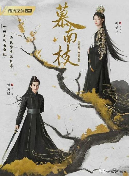 全集在线观看高清电视剧,绝对策略计划研究_社交版40.12.0