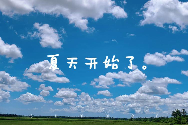 那年我们的夏天在线高清,真实经典策略设计_VR型43.237