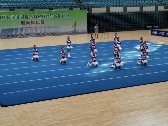 体育比赛都有哪些项目,绝对策略计划研究_社交版40.12.0