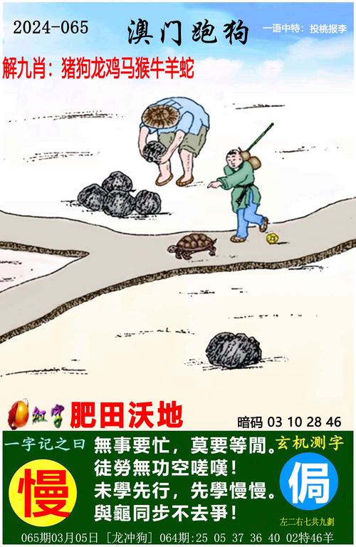 47期澳门传真资料,绝对策略计划研究_社交版40.12.0