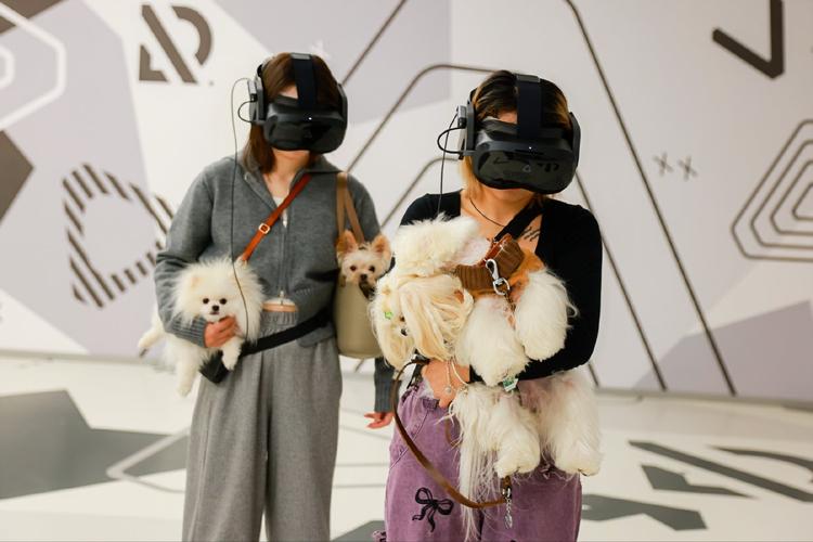 我唾弃你的坟墓2,真实经典策略设计_VR型43.237