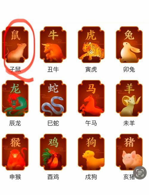 生肖鼠今日运势最准,设计策略快速解答_VR型43.237