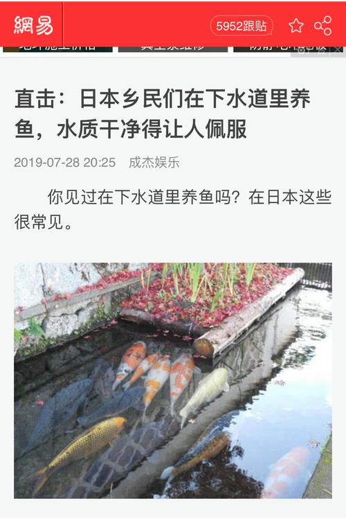2025新澳门正版免费正题全部视频资讯和牛肉馅大肠杆菌污染与牛肉馅大肠杆菌污染大吗